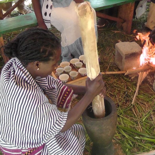 画像3: 「生豆」　エチオピア　イリガチャフィー ベレカ G1 ウォッシュド　300g (3)