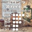 画像3: スカイヒル　1000ｇ (3)