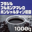 画像1: ブルボンアマレロ　ボンジャルディン農園（N）　1000ｇ (1)