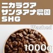 画像1: サンタ・アナ農園　1000ｇ (1)