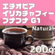 画像1: イリガチャフィー  ブナブナG1　ナチュラル　200ｇ (1)