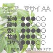 画像3: マサイAA　200ｇ (3)